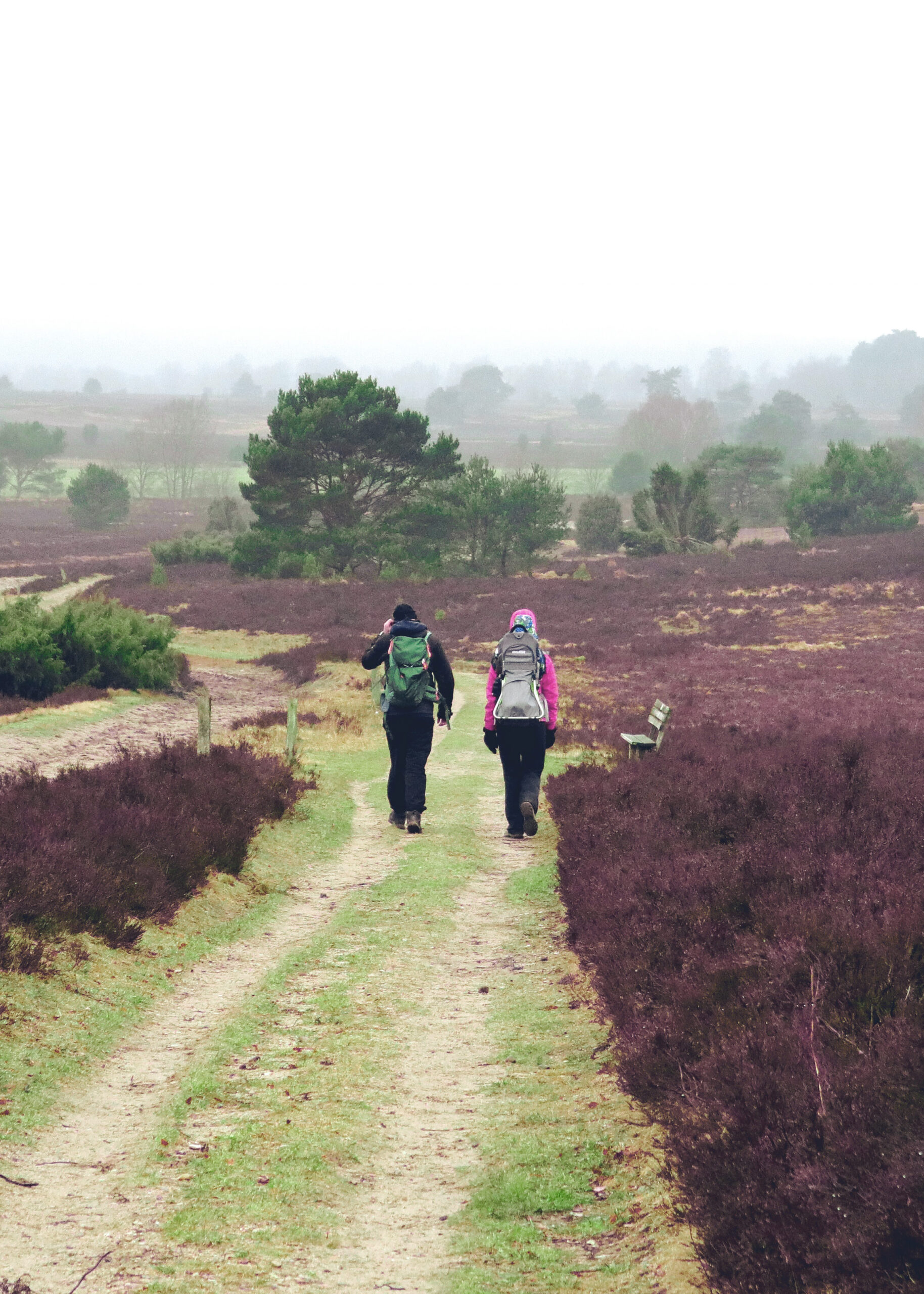 joggen durch Lüneburger Heide