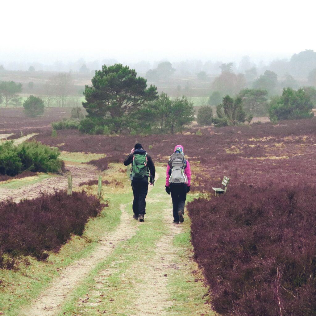 Lüneburger Heide